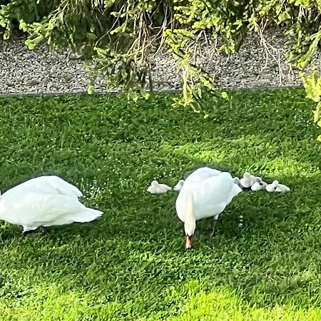 Beautiful River View Διαμέρισμα Mandelieu