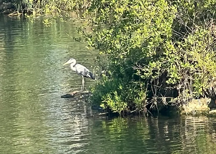 Beautiful River View *