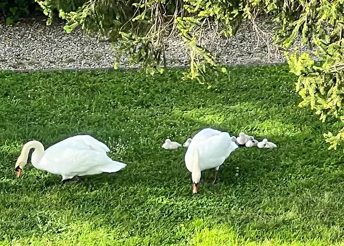 Beautiful River View Apartman Mandelieu